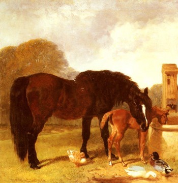  Herring Art Painting - Horse And foal Watering At A Trough Herring Snr John Frederick